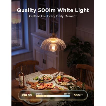 Govee - Lampadina LED RGBWW dimmerabile Smart MATTER G80 E27/5W/230V 2700-6500K Wi-Fi
