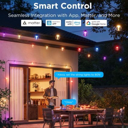 Govee-LED RGBICW Catena decorativa per esterni dimmerabile LED/24W/230V IP67 2700-6500K Wi-Fi
