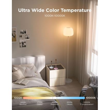Govee - LED RGBICWW Lampada da terra dimmerabile LANTERN MATTER LED/24W/230V Wi-Fi 160 cm