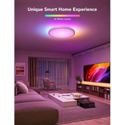 Govee - Plafoniera LED RGBICWW dimmerabile LED/29W/230V Ø 30 cm finitura opaca Wi-Fi