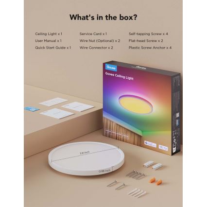 Govee - Plafoniera LED RGBICWW dimmerabile LED/29W/230V Ø 30 cm finitura opaca Wi-Fi