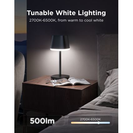 Govee - LED RGBICWW Lampada da tavolo dimmerabile CLASSIC MATTER LED/10W/5V 4800mAh Wi-Fi