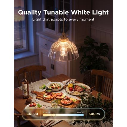 Govee - Lampadina LED RGBWW dimmerabile Smart MATTER ST64 E27/5W/230V 2700-6500K Wi-Fi