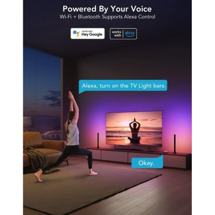 Govee - Pannello LED SMART RGBIC 38 cm per TV 43-75 - 2 pezzi Wi-Fi