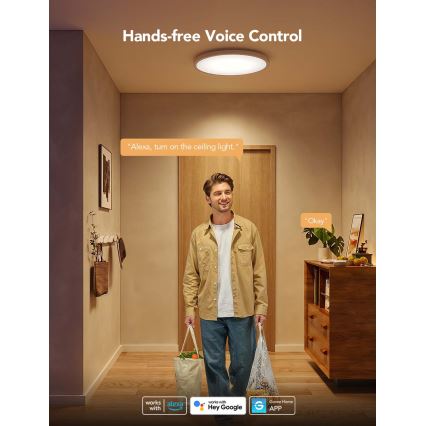 Govee - Plafoniera LED dimmerabile RGBICWW, 29W, 230V, Ø 30 cm, finitura opaca, Wi‑Fi