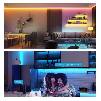 Govee - Striscia LED RGB dimmerabile SMART LED/36W/24V 10m Wi-Fi