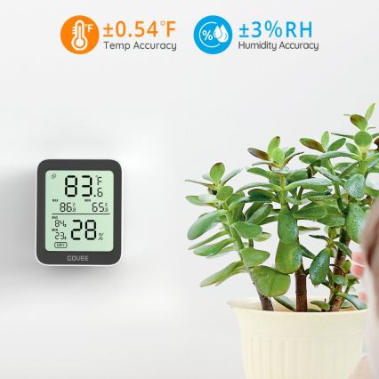 Govee - Termometro e igrometro con display, 2x batterie AAA