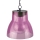 Grundig - Lampada LED solare LED/1xAAA viola