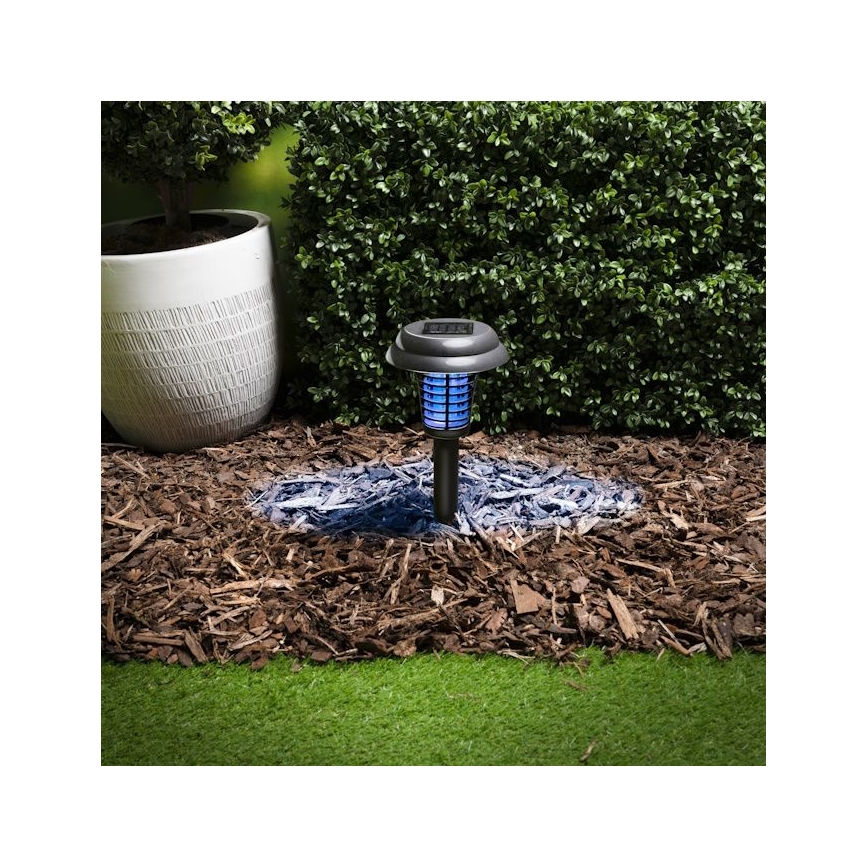 Grundig - Lampada solare a LED e trappola per insetti con LED UV, batteria 1xAA 600 mAh, IPX4