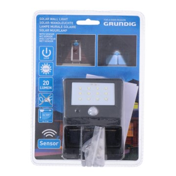 Grundig - LED Luce solare con sensore crepuscolare e di movimento LED/0,25W/1xAA 600 mAh