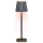 Grundig - LED RGB Lampada da tavolo dimmerabile a sfioramento LED/5V 1200 mAh