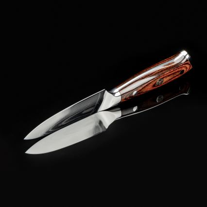 Gudaro - Coltello da cucina in acciaio damascato FENG 3,5, 67 strati d'acciaio, lunghezza 9,5 cm
