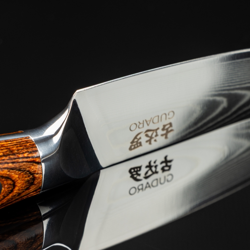 Gudaro - Coltello da cucina in acciaio damascato FENG 3,5, 67 strati d'acciaio, lunghezza 9,5 cm