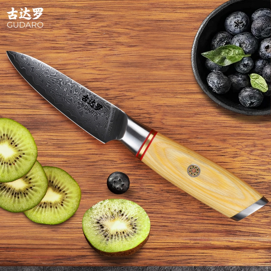 Gudaro - Coltello da cucina in acciaio damascato HIKARI 3,5, 67 strati di acciaio, lunghezza 9,5 cm