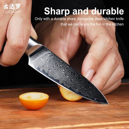 Gudaro - Coltello da cucina in acciaio damascato HIKARI 3,5, 67 strati di acciaio, lunghezza 9,5 cm