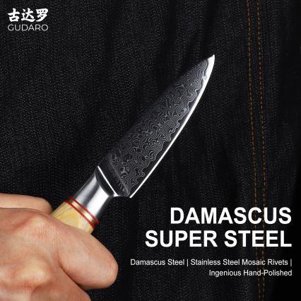 Gudaro - Coltello da cucina in acciaio damascato HIKARI 3,5, 67 strati di acciaio, lunghezza 9,5 cm