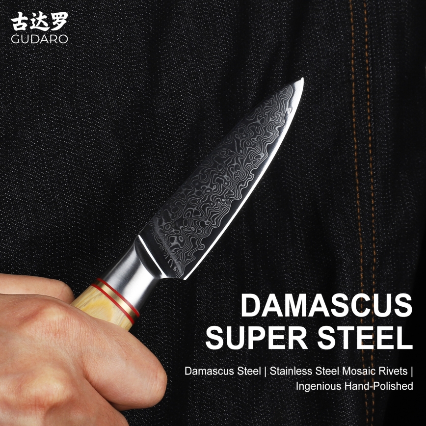 Gudaro - Coltello da cucina in acciaio damascato HIKARI 3,5, 67 strati di acciaio, lunghezza 9,5 cm
