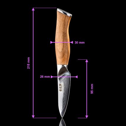 Gudaro - Coltello da cucina damascato TAKUMI 3,5, 67 strati d'acciaio, lunghezza 9,5 cm, manico in noce