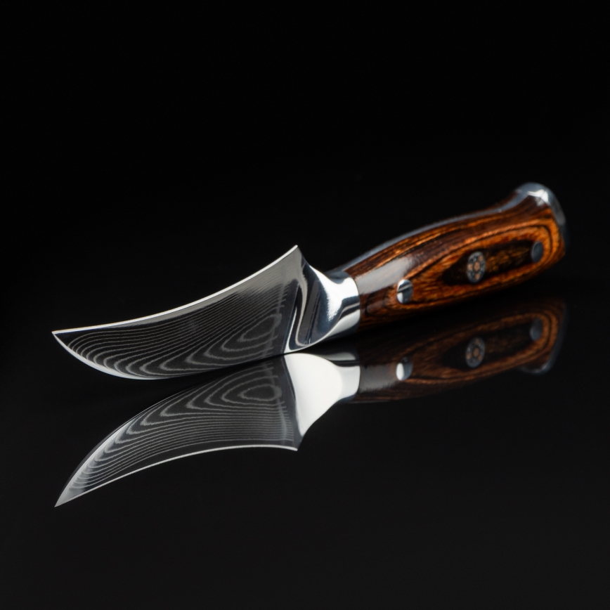 Gudaro - Coltello da cucina per frutta in acciaio damascato FENG 3,5, 67 strati d'acciaio, lunghezza 9,5 cm