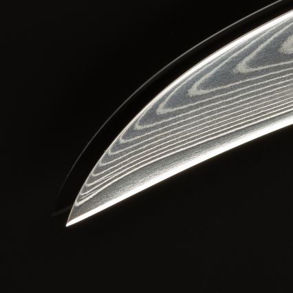 Gudaro - Coltello da cucina per frutta in acciaio damascato FENG 3,5, 67 strati d'acciaio, lunghezza 9,5 cm