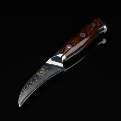 Gudaro - Coltello da cucina per frutta in acciaio damascato FENG 3,5, 67 strati d'acciaio, lunghezza 9,5 cm