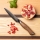 Gudaro - Coltello da cucina universale in acciaio damascato TAKUMI 5