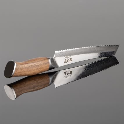 Gudaro - Coltello da pane in damasco TAKUMI 8, 67 strati di acciaio, lunghezza 20 cm, manico in noce