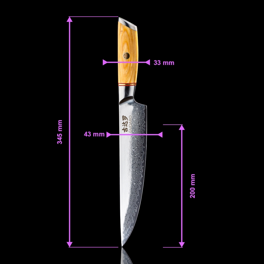 Gudaro - Coltello da porzionare HIKARI 8, in acciaio damascato a 67 strati, lama 20 cm