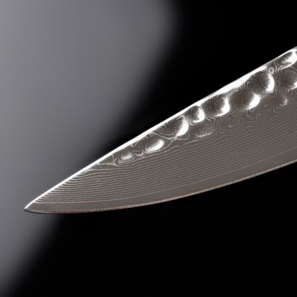 Gudaro - Coltello da porzionare MIYABI 8, acciaio damascato a 67 strati, lunghezza 20 cm