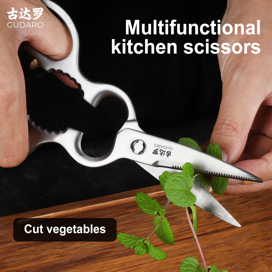 Gudaro - Forbici per pollame RONIN 20,6 cm in acciaio inox