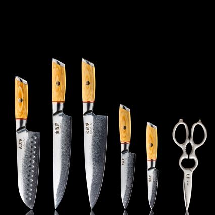 Gudaro - Set da 5 coltelli da cucina in acciaio damascato HIKARI + ceppo per coltelli e forbici per pollame