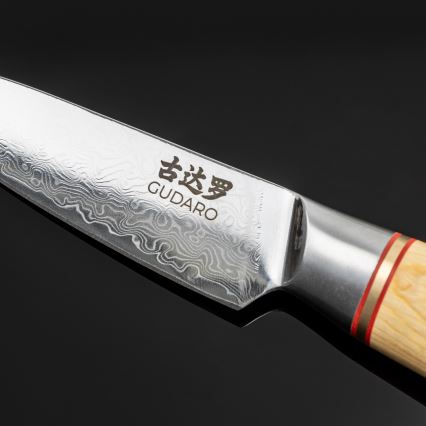 Gudaro - Set da 5 coltelli da cucina in acciaio damascato HIKARI + ceppo per coltelli e forbici per pollame