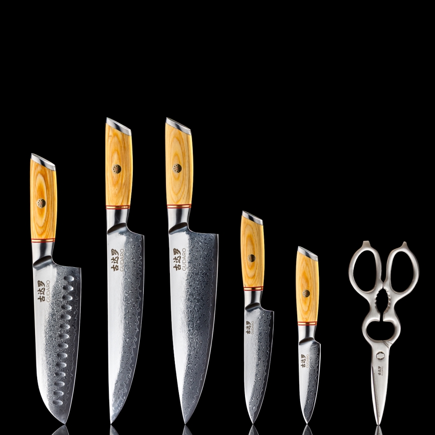 Gudaro - Set da 5 coltelli da cucina in acciaio damascato HIKARI + supporto per coltelli e forbici da pollame