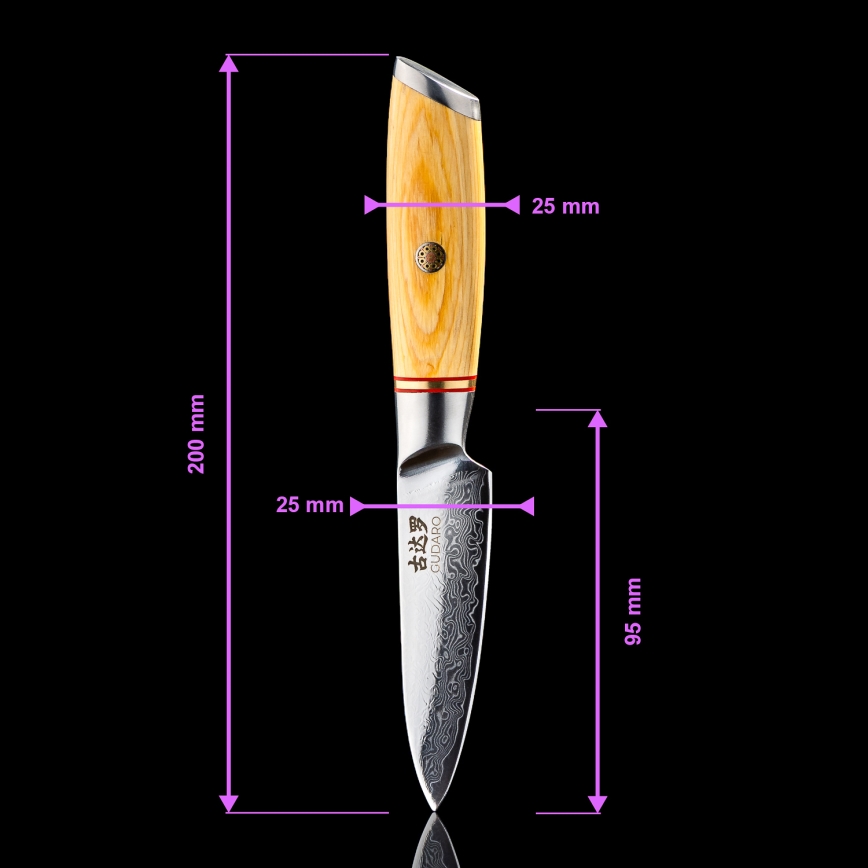 Gudaro - Set da 5 coltelli da cucina in acciaio damascato HIKARI + supporto per coltelli e forbici da pollame