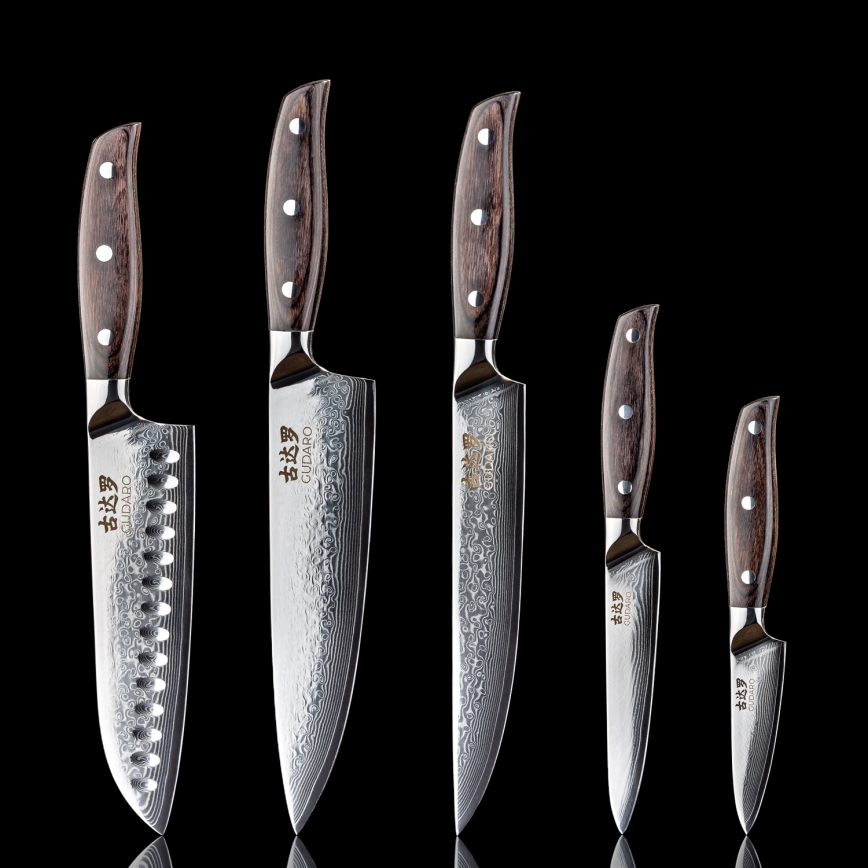 Gudaro - Set da 5 coltelli da cucina in acciaio damascato SHIRO + supporto magnetico