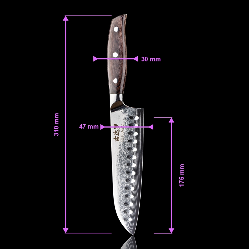 Gudaro - Set da 5 coltelli da cucina in acciaio damascato SHIRO + supporto magnetico