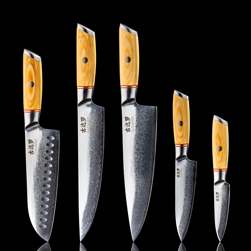 Gudaro - Set da 5 coltelli da cucina in acciaio damasco HIKARI + portacoltelli magnetico