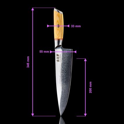 Gudaro - Set da 5 coltelli da cucina in acciaio damasco HIKARI + portacoltelli magnetico