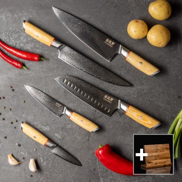 Gudaro - Set da 5 coltelli da cucina in damasco HIKARI + supporto magnetico