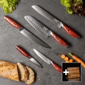 Gudaro - Set da 5 coltelli da cucina in damasco KENSHO + supporto magnetico