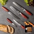 Gudaro - Set da 5 coltelli da cucina in damasco KENSHO + supporto magnetico per coltelli