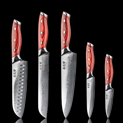 Gudaro - Set da 5 coltelli da cucina in damasco KENSHO + supporto magnetico per coltelli