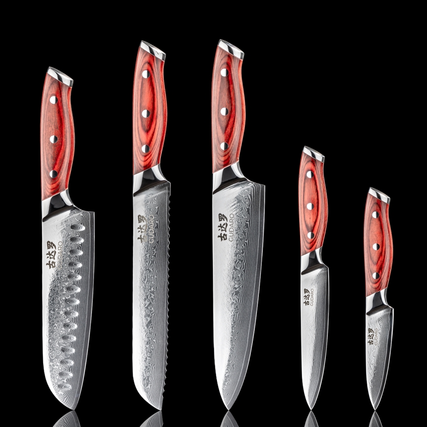 Gudaro - Set da 5 coltelli da cucina in damasco KENSHO + supporto magnetico per coltelli