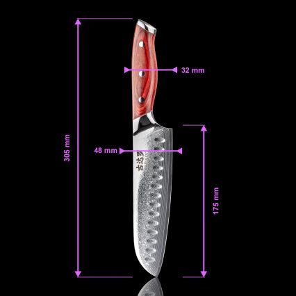 Gudaro - Set da 5 coltelli da cucina in damasco KENSHO + supporto magnetico per coltelli
