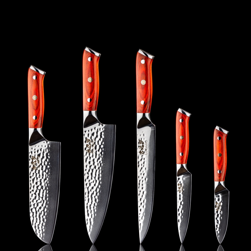 Gudaro - Set da 5 coltelli da cucina in damasco MIYABI + supporto magnetico per coltelli