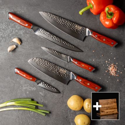 Gudaro - Set da 5 coltelli da cucina in damasco MIYABI + supporto magnetico per coltelli