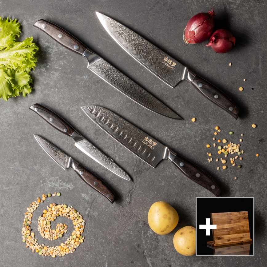 Gudaro - Set da 5 coltelli da cucina in damasco SHIRO + portacoltelli magnetico