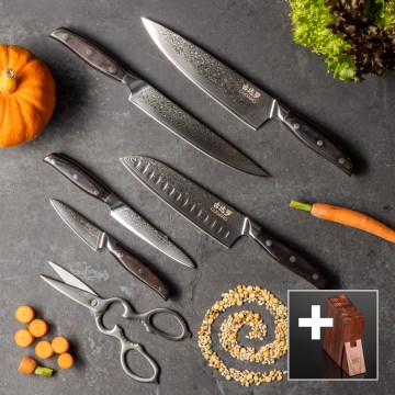 Gudaro - Set di 5 coltelli da cucina in acciaio damascato SHIRO + ceppo per coltelli e forbici per pollame