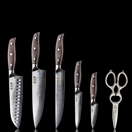 Gudaro - Set di 5 coltelli da cucina in acciaio damascato SHIRO + ceppo per coltelli e forbici per pollame