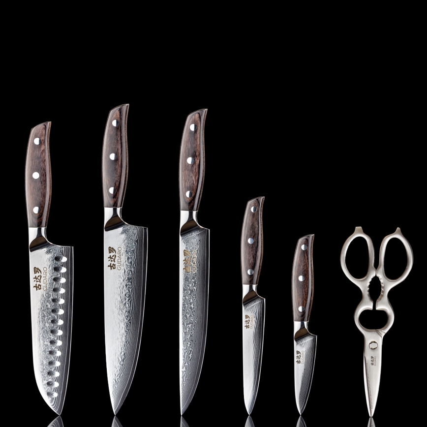 Gudaro - Set di 5 coltelli da cucina in acciaio damascato SHIRO + ceppo per coltelli e forbici per pollame
